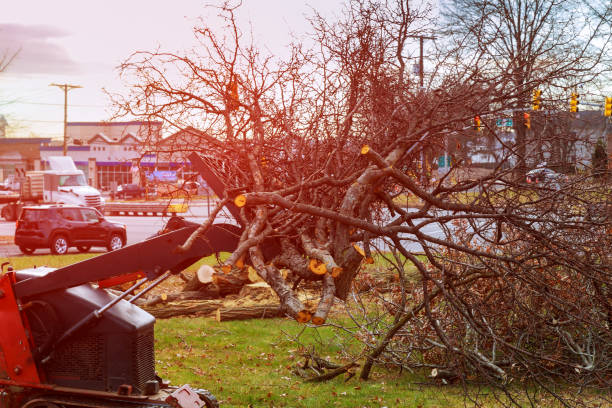 Seasonal Cleanup (Spring/Fall) in Franklin, WI